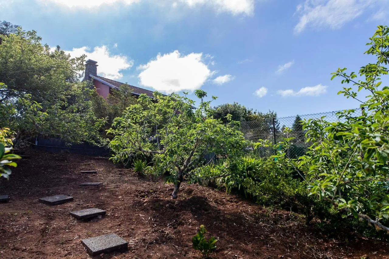 Chalet Pico Das Pedras Santana  Santana (Madeira)